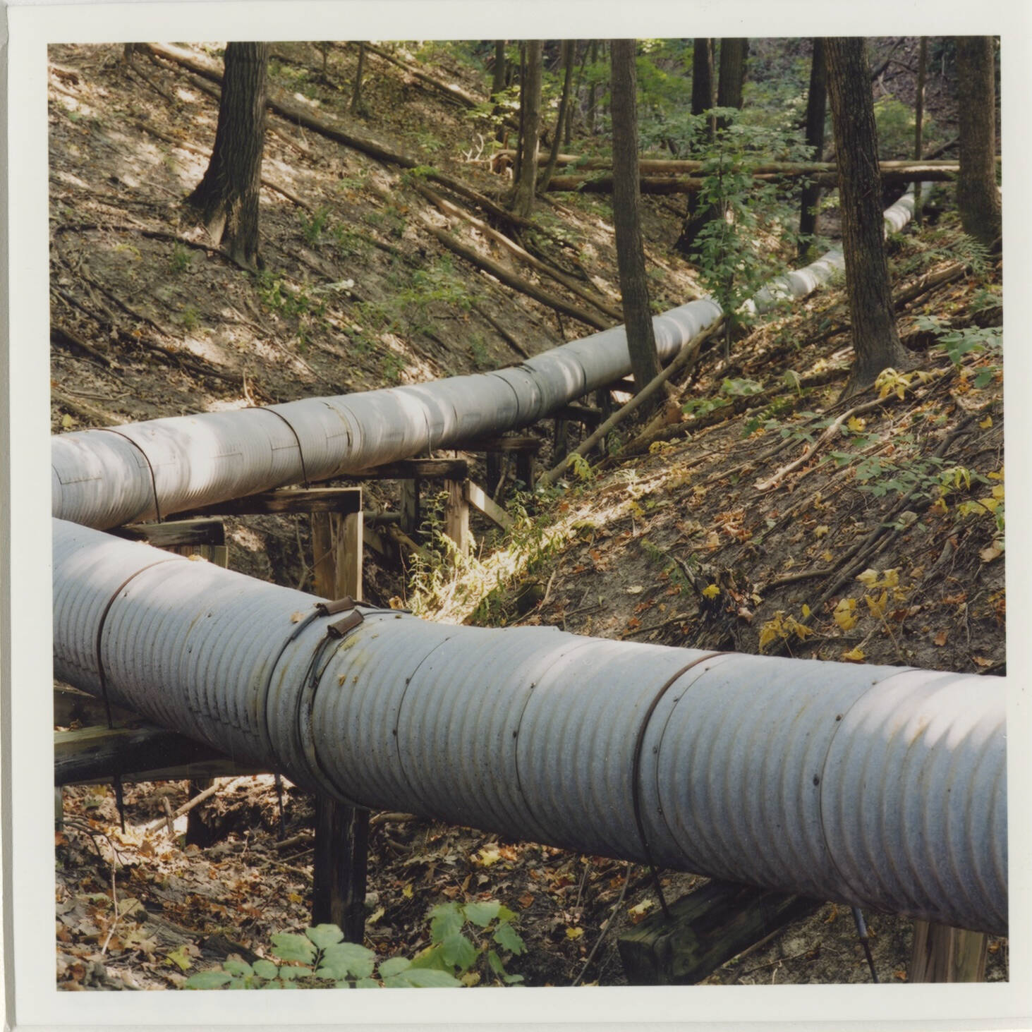 Color photograph of corrugated pipe zig-zagging through the bottom of ravine.
